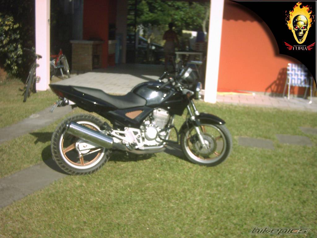 Photo 270993