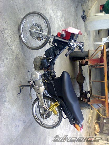 Photo 2709949