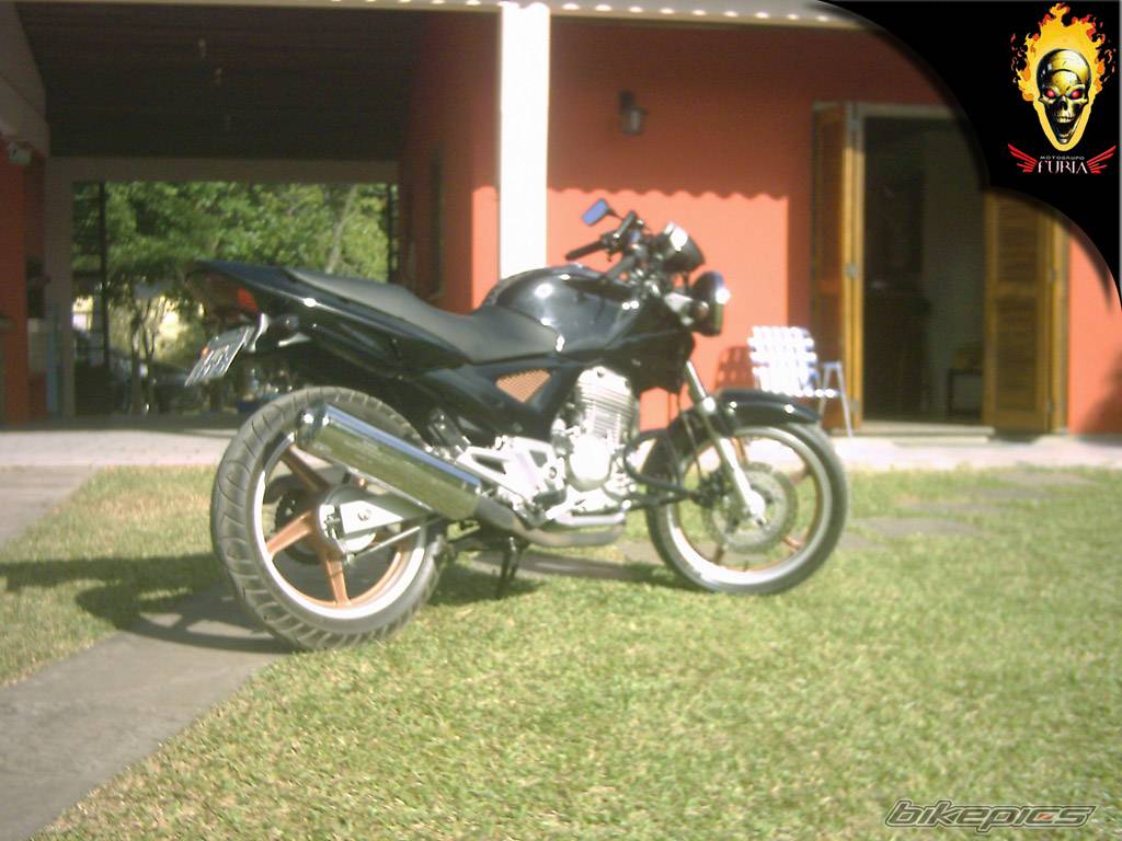 Photo 270996