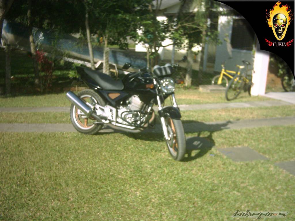 Photo 270999