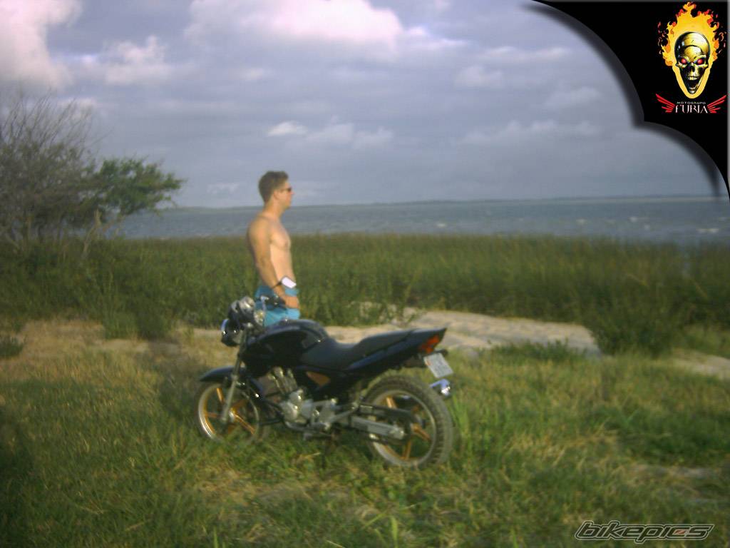 Photo 271003