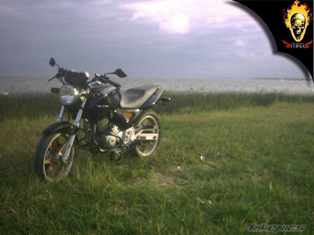 Photo 271005