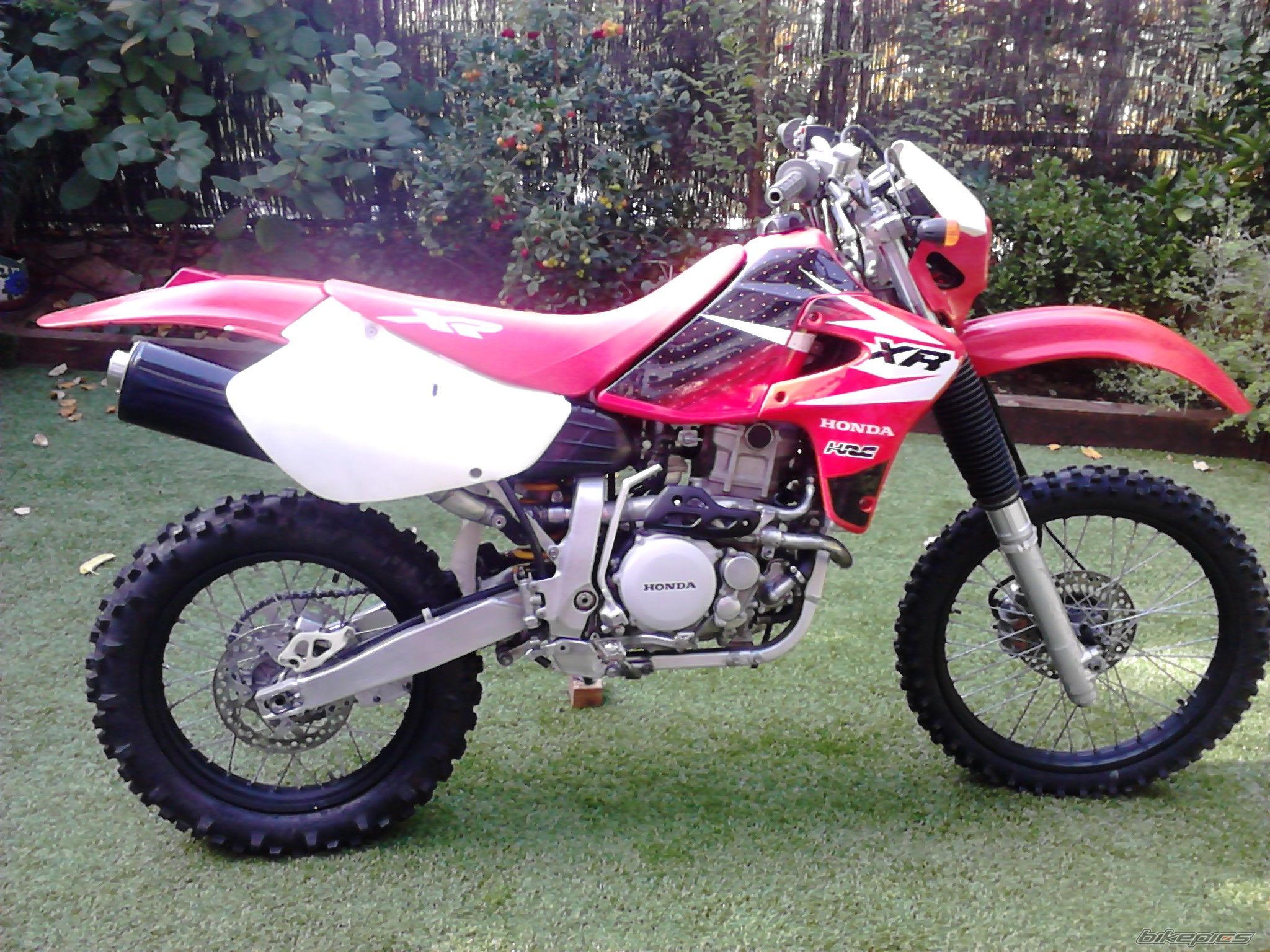 Bike Photo 2710059