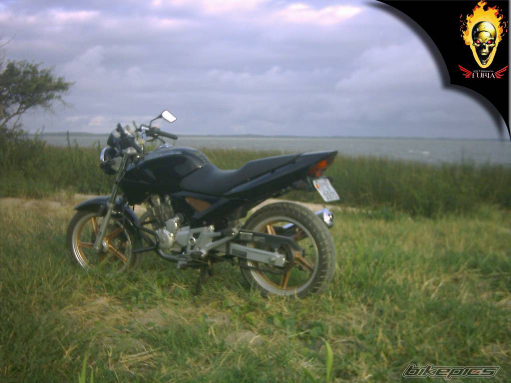 Photo 271007