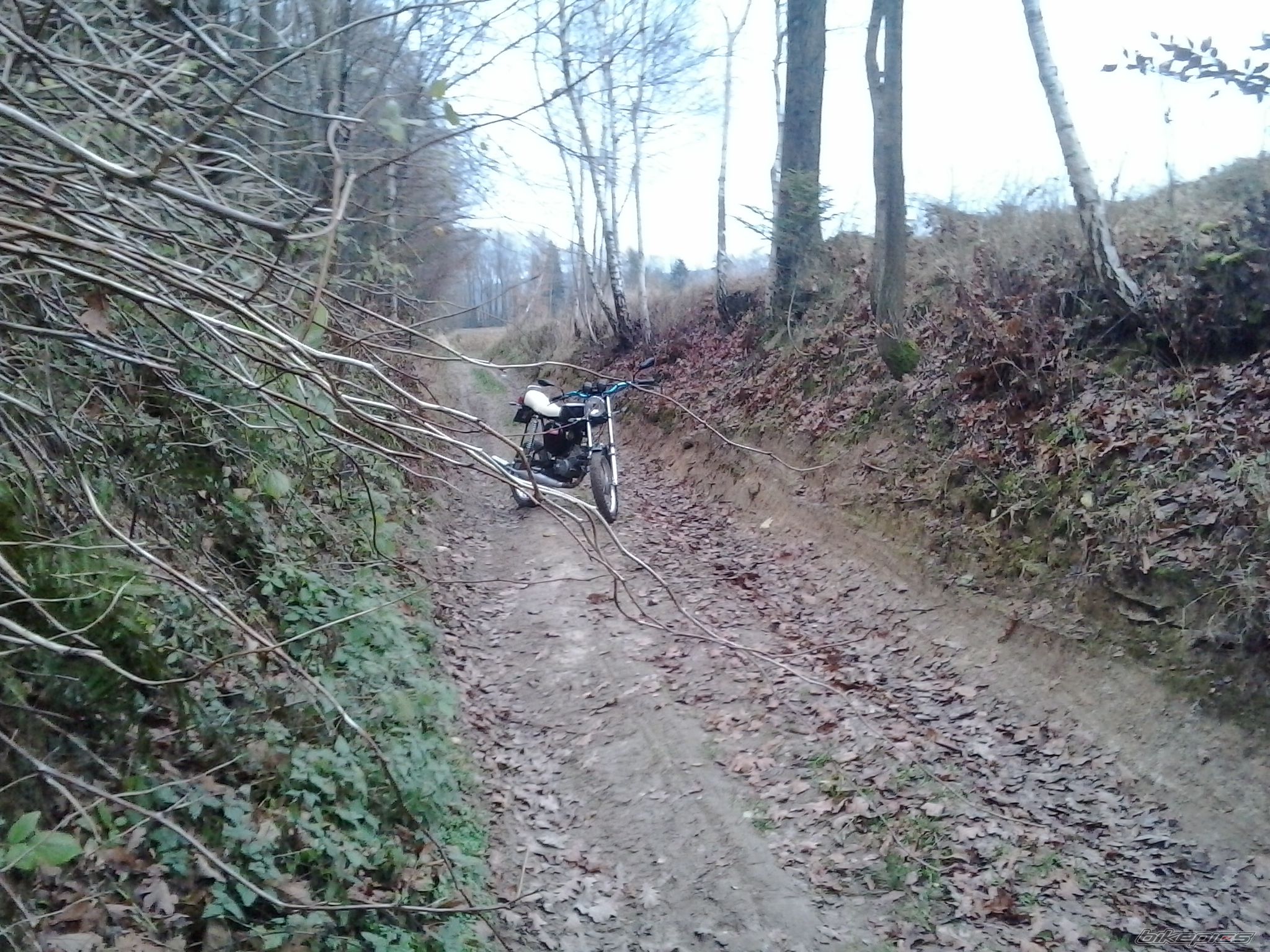Bike Photo 2710175