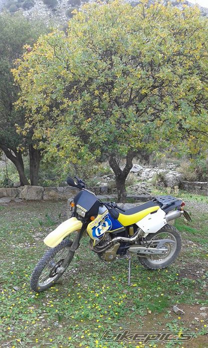 Photo 2710364
