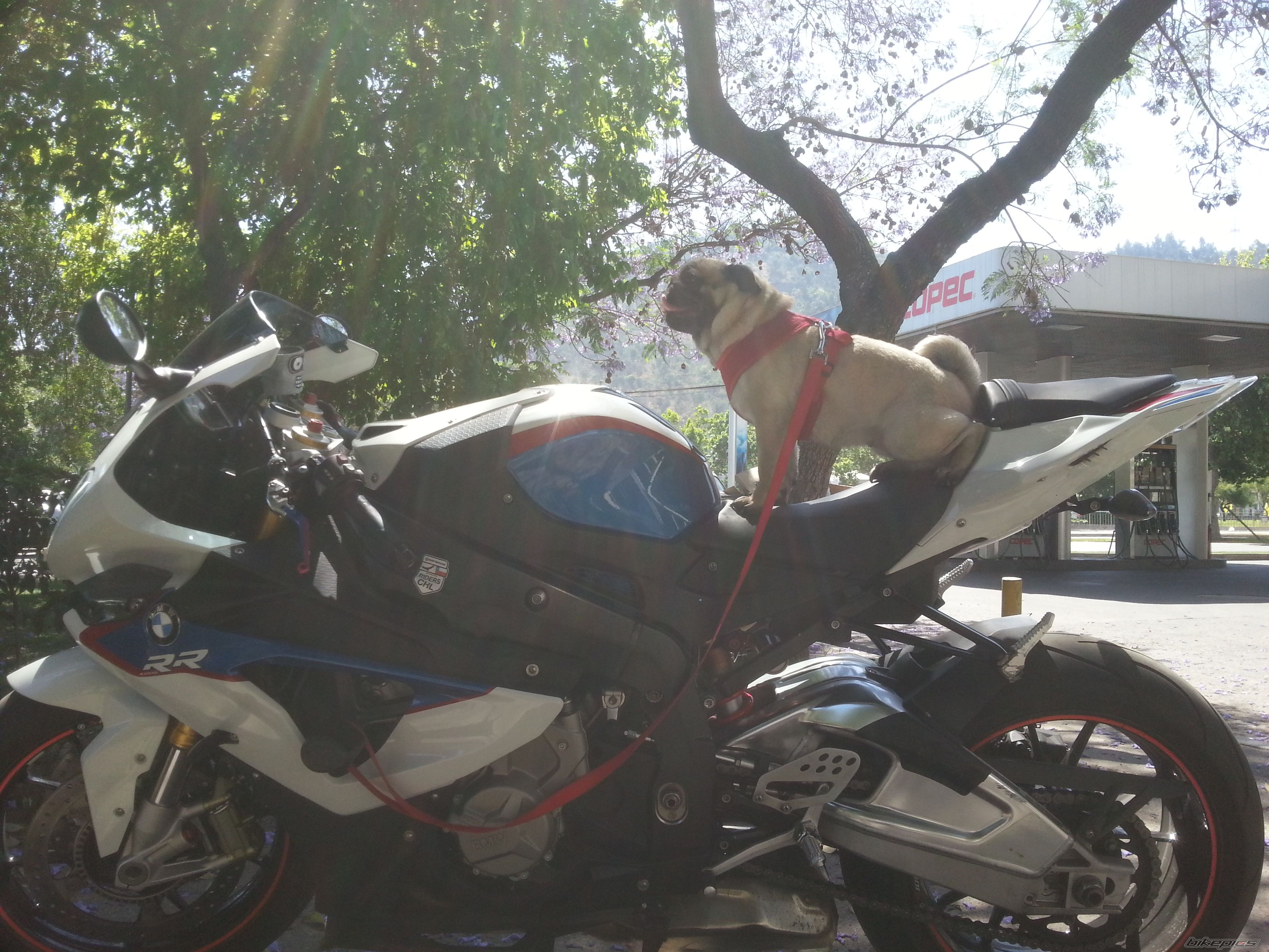 Photo 2710463