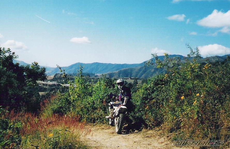 Bike Photo 271058