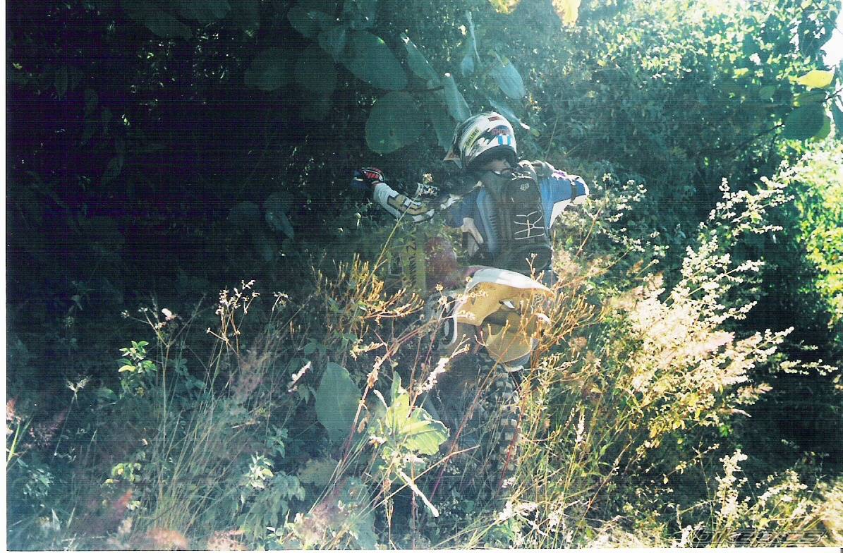 Bike Photo 271064