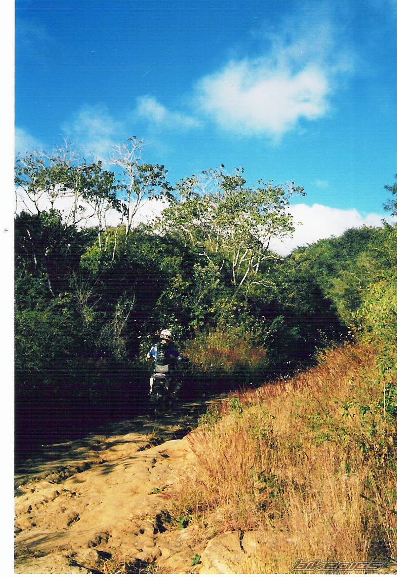 Bike Photo 271070