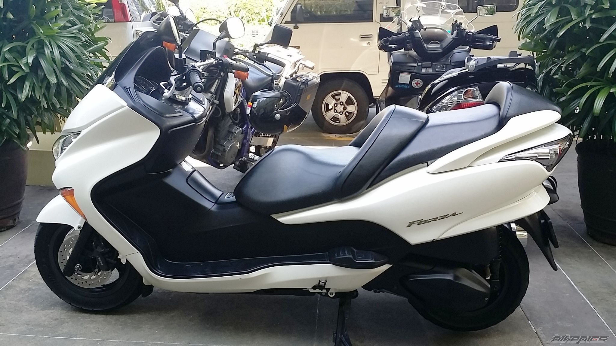 Photo 2710754