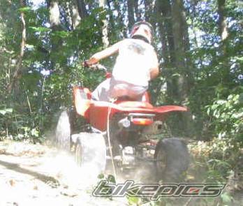 Photo 271079
