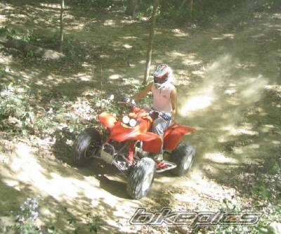 Photo 271082