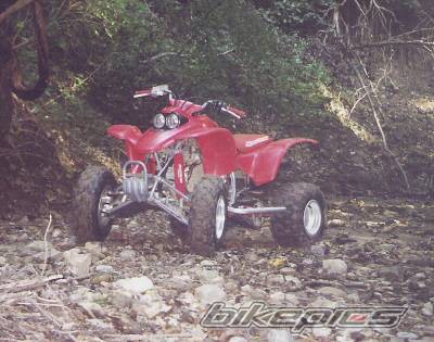 Photo 271084