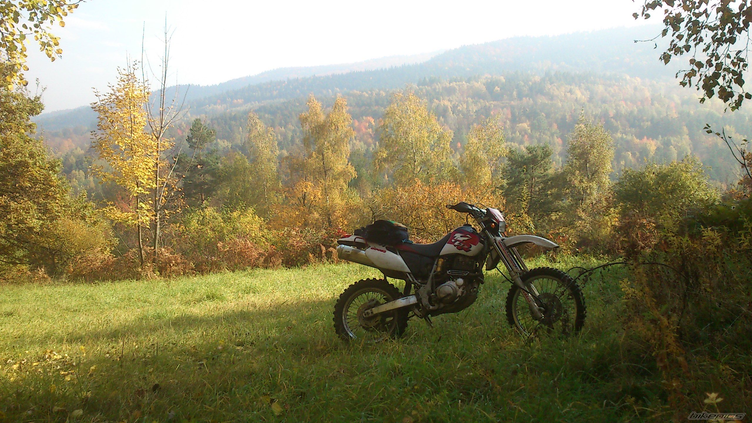 Photo 2711031