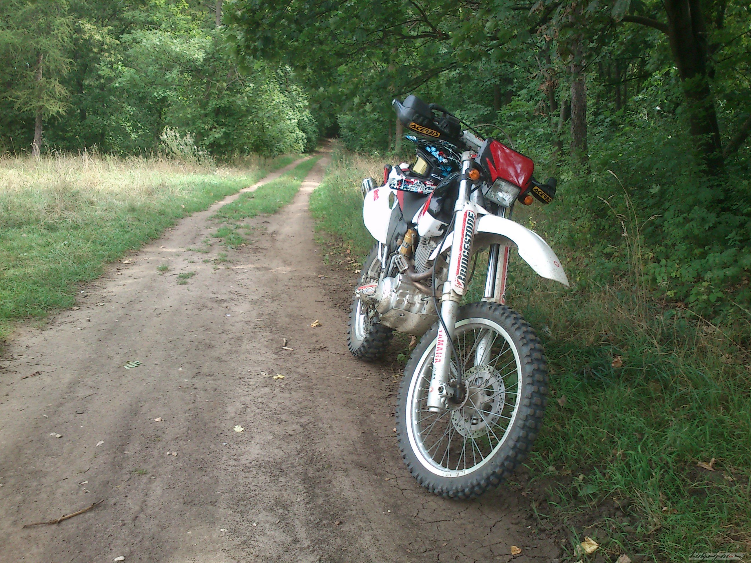 Photo 2711033