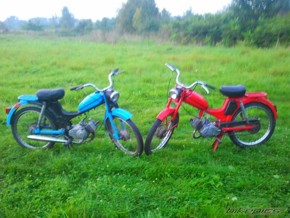 Photo 2711054