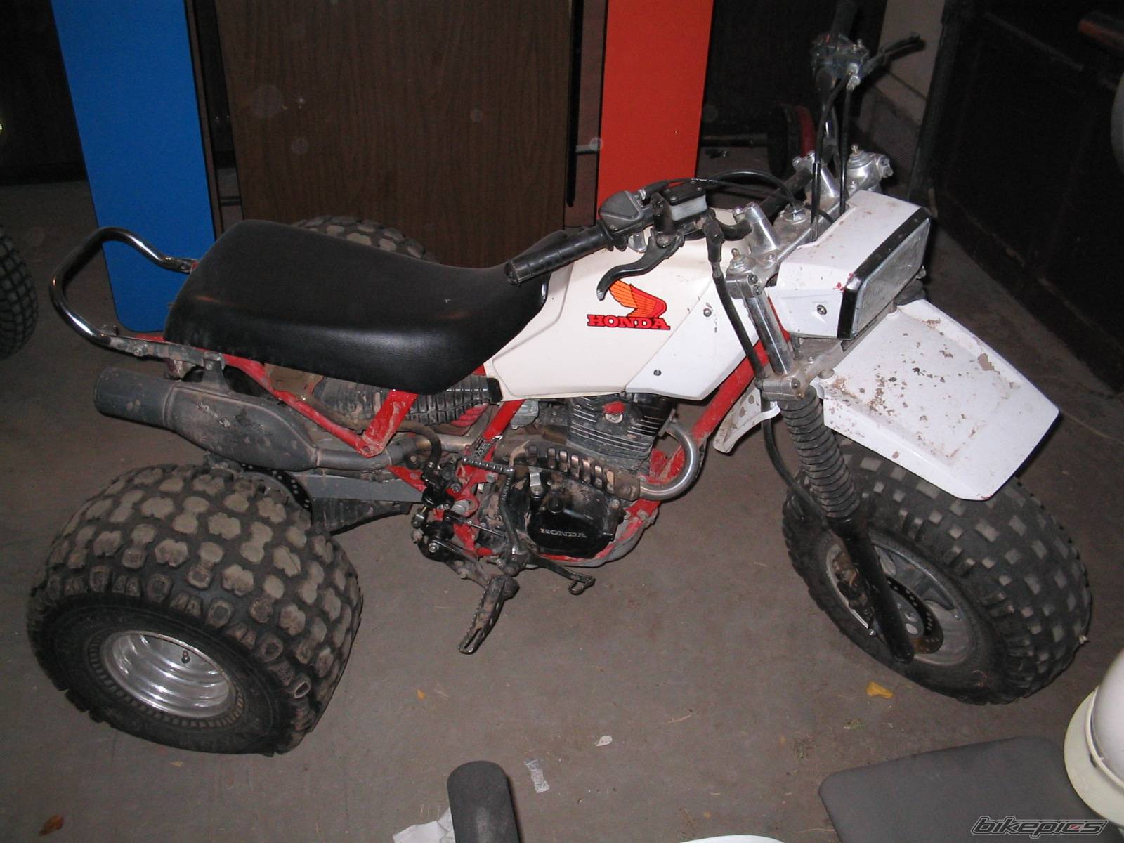 Photo 271121