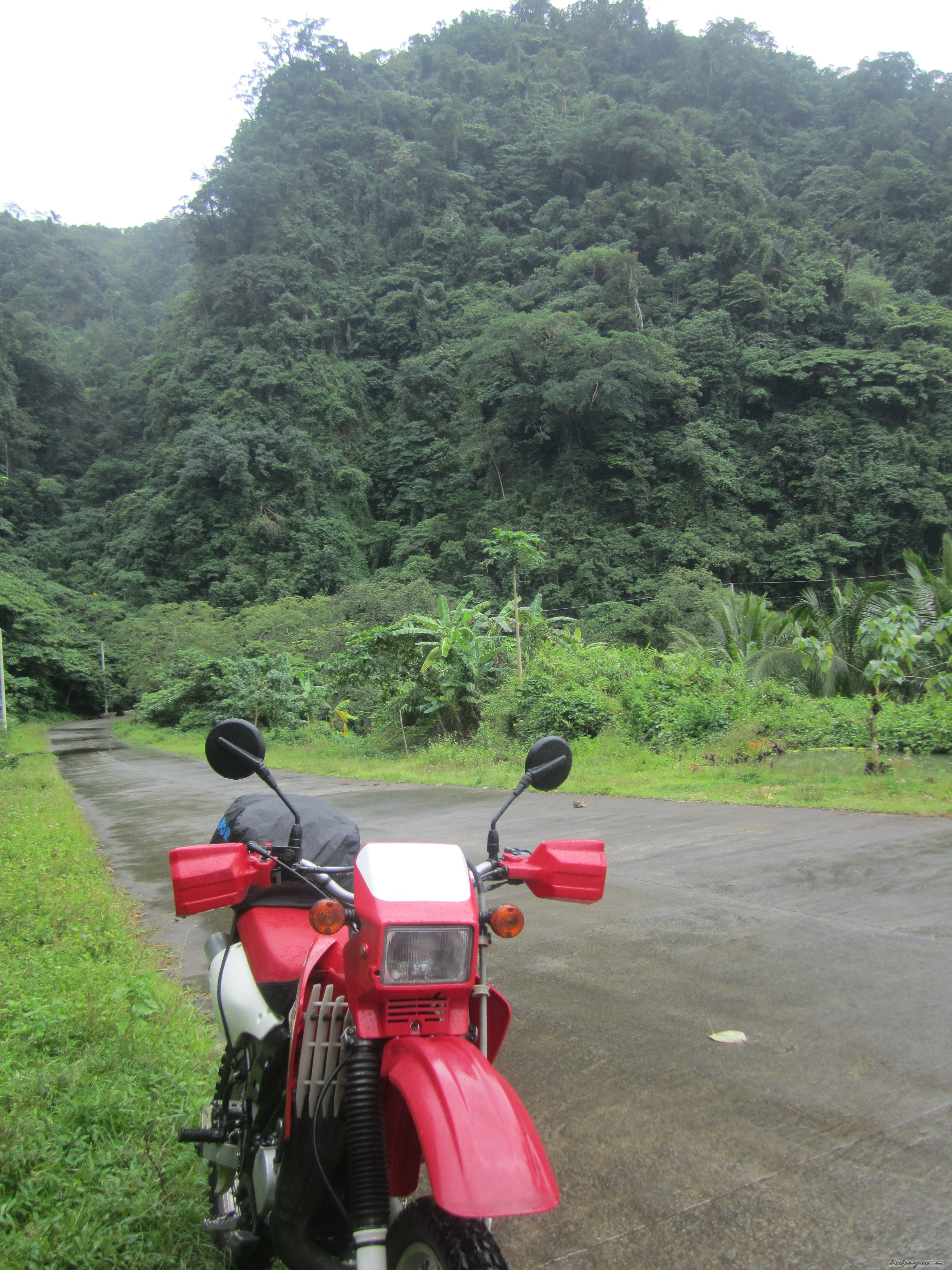 Bike Photo 2711297
