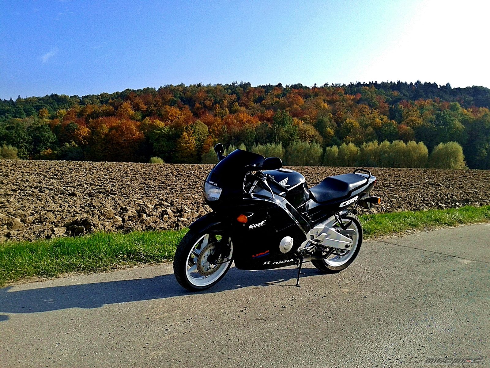 Photo 2711454