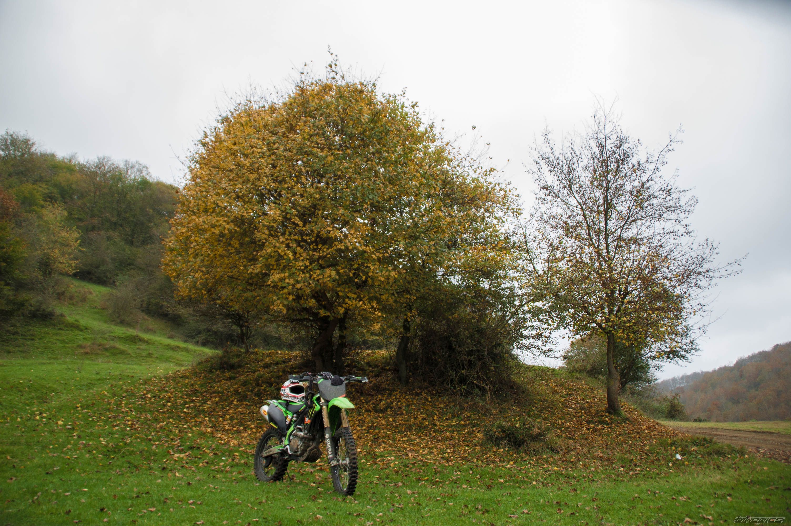 Photo 2711490