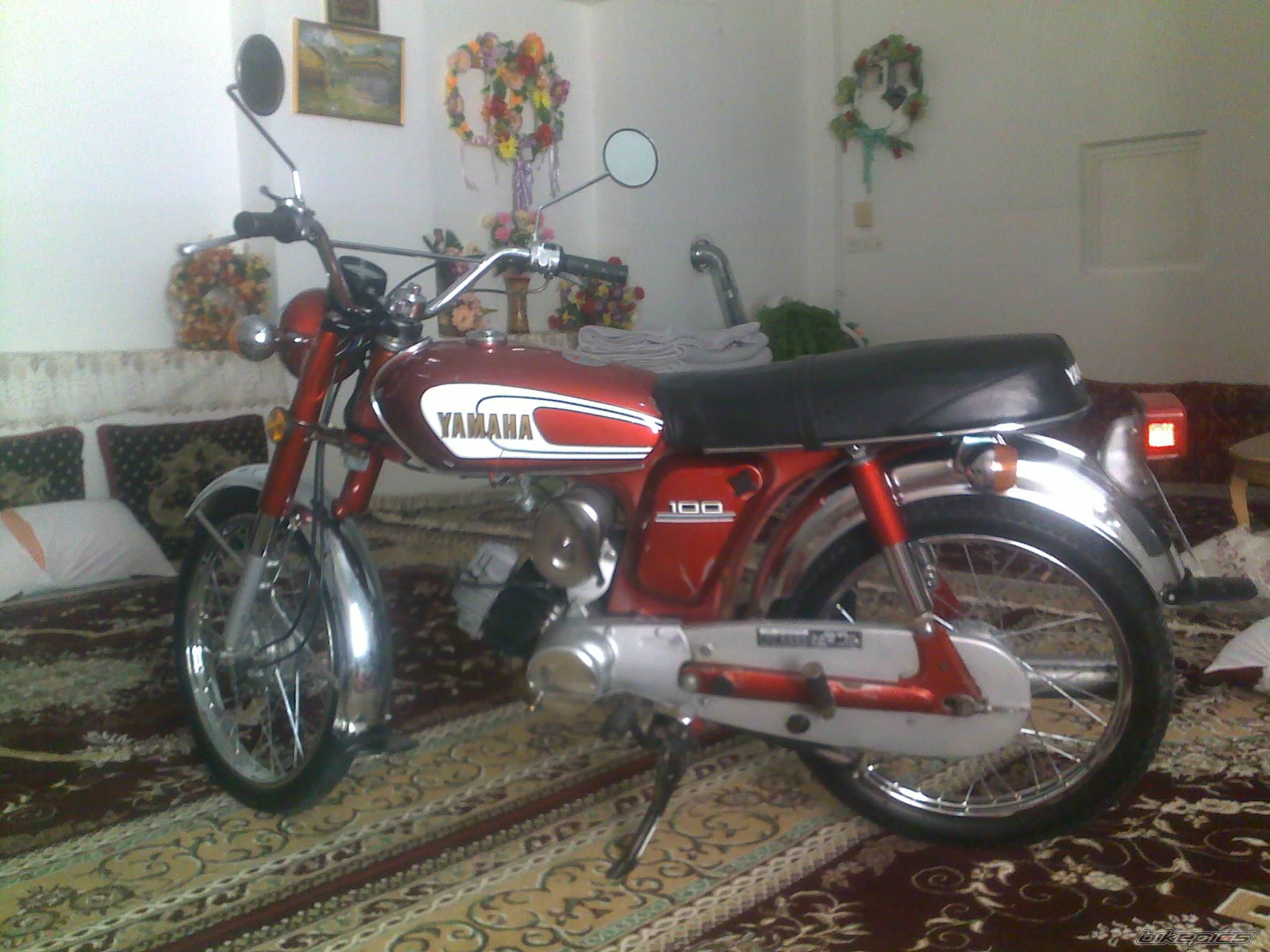Photo 2711653