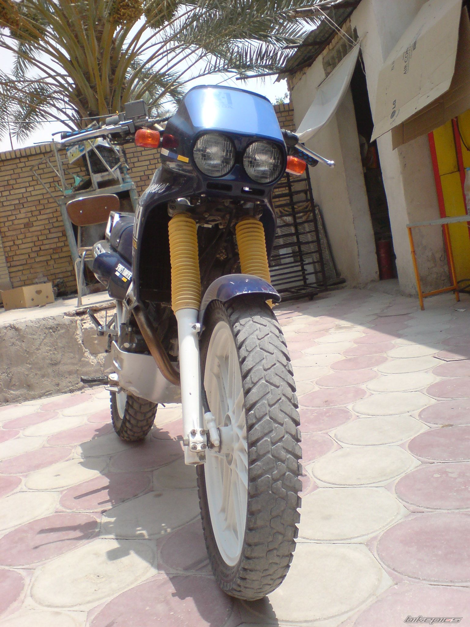 Photo 2711686
