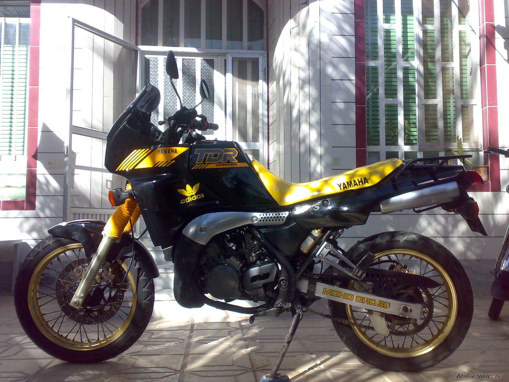 Photo 2711694