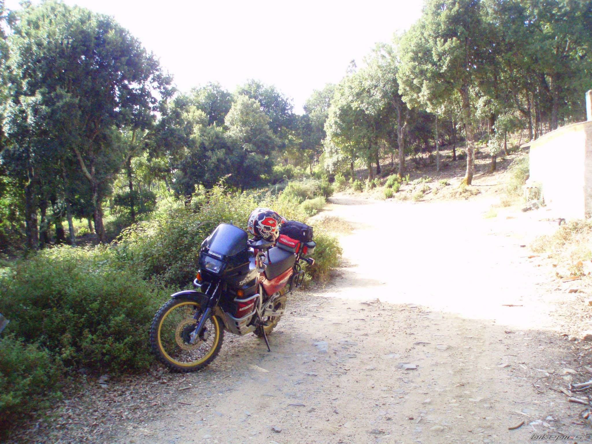 Photo 2711930