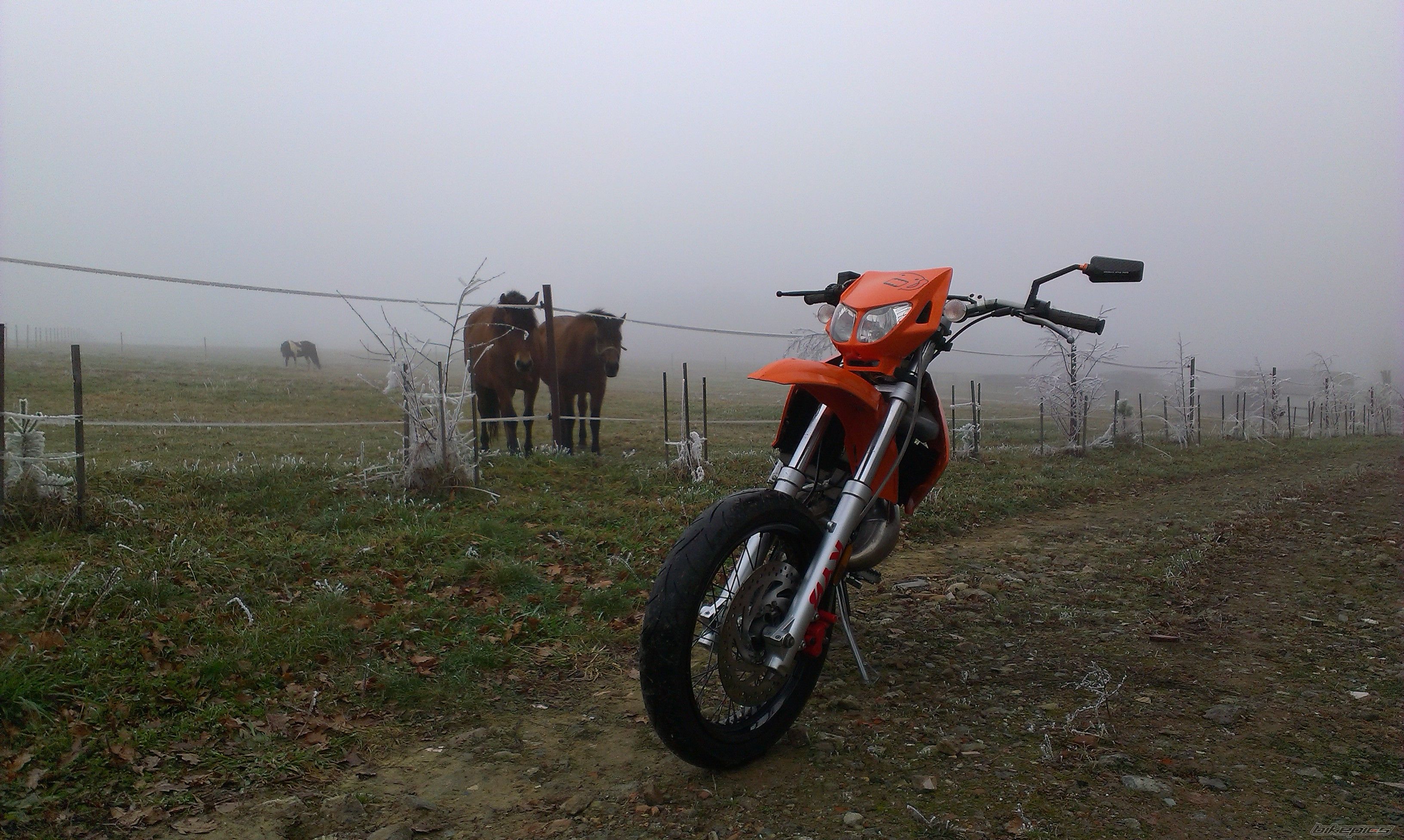 Photo 2712155