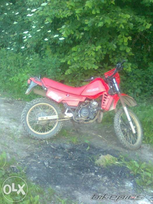 Photo 2712326