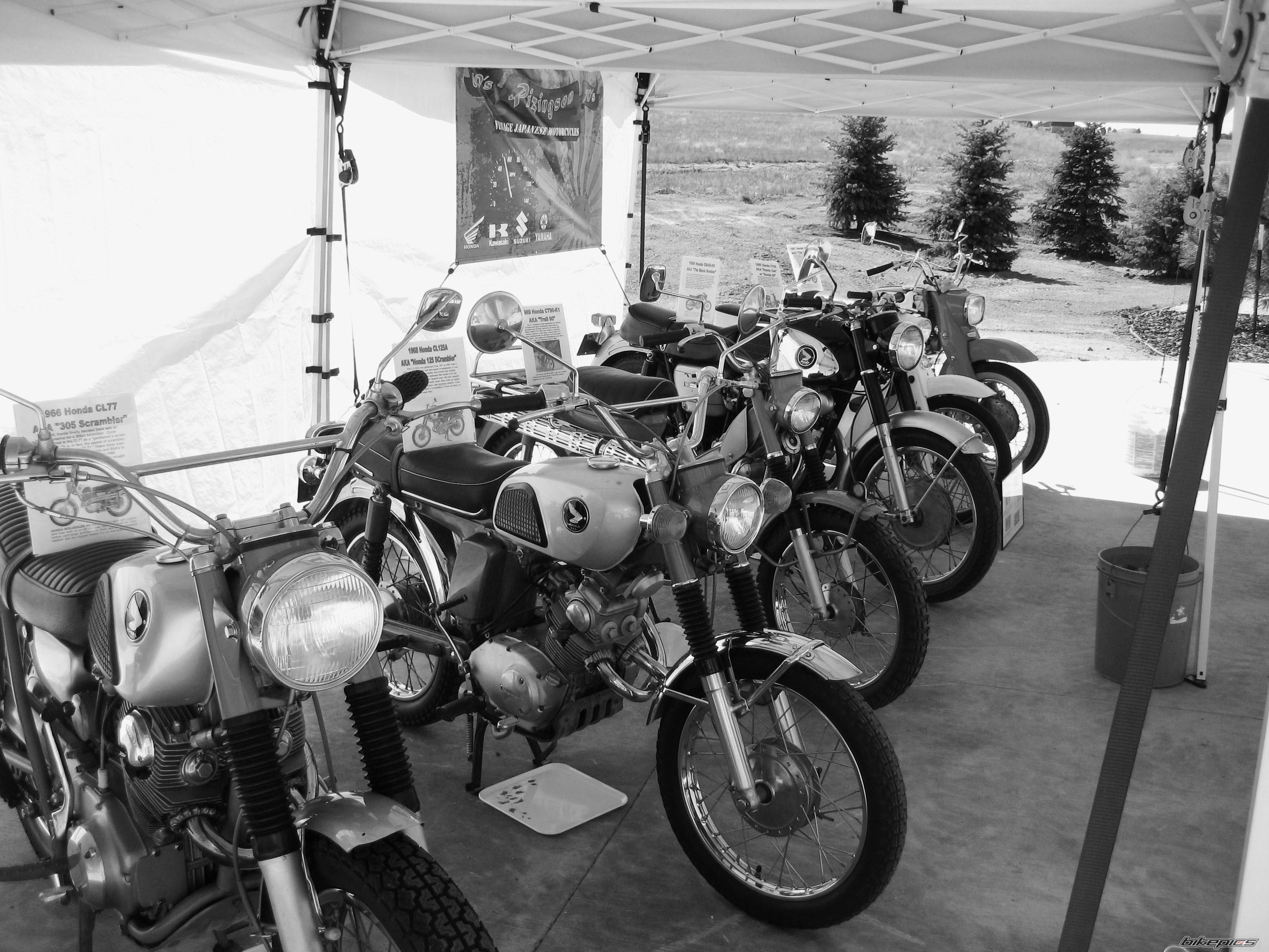 Photo 2712379