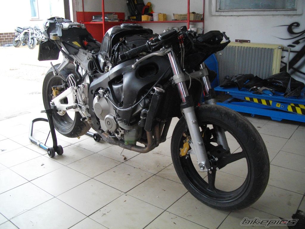 Photo 2712406