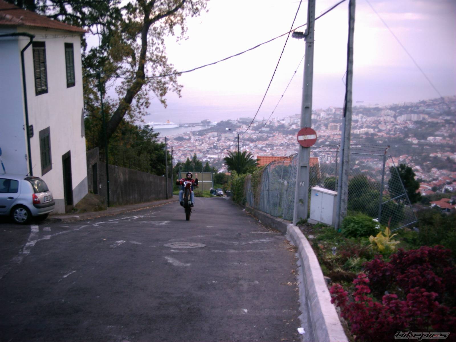 Photo 271248