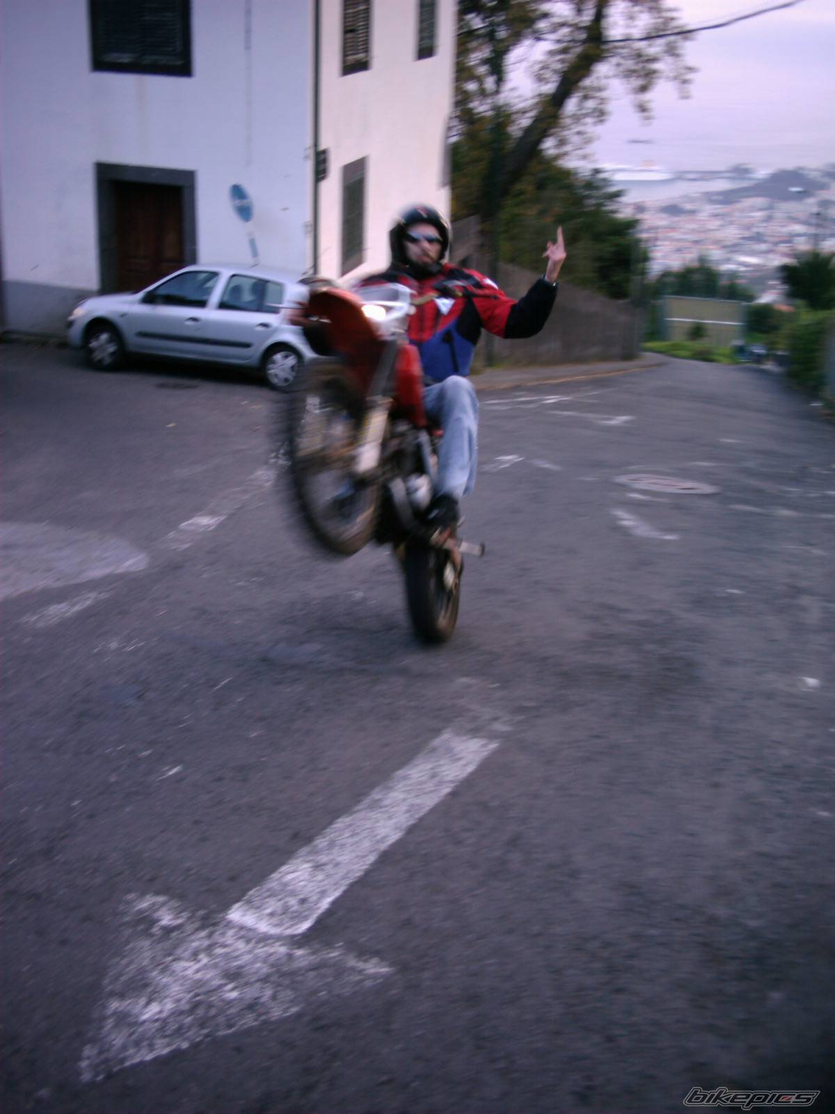Photo 271249