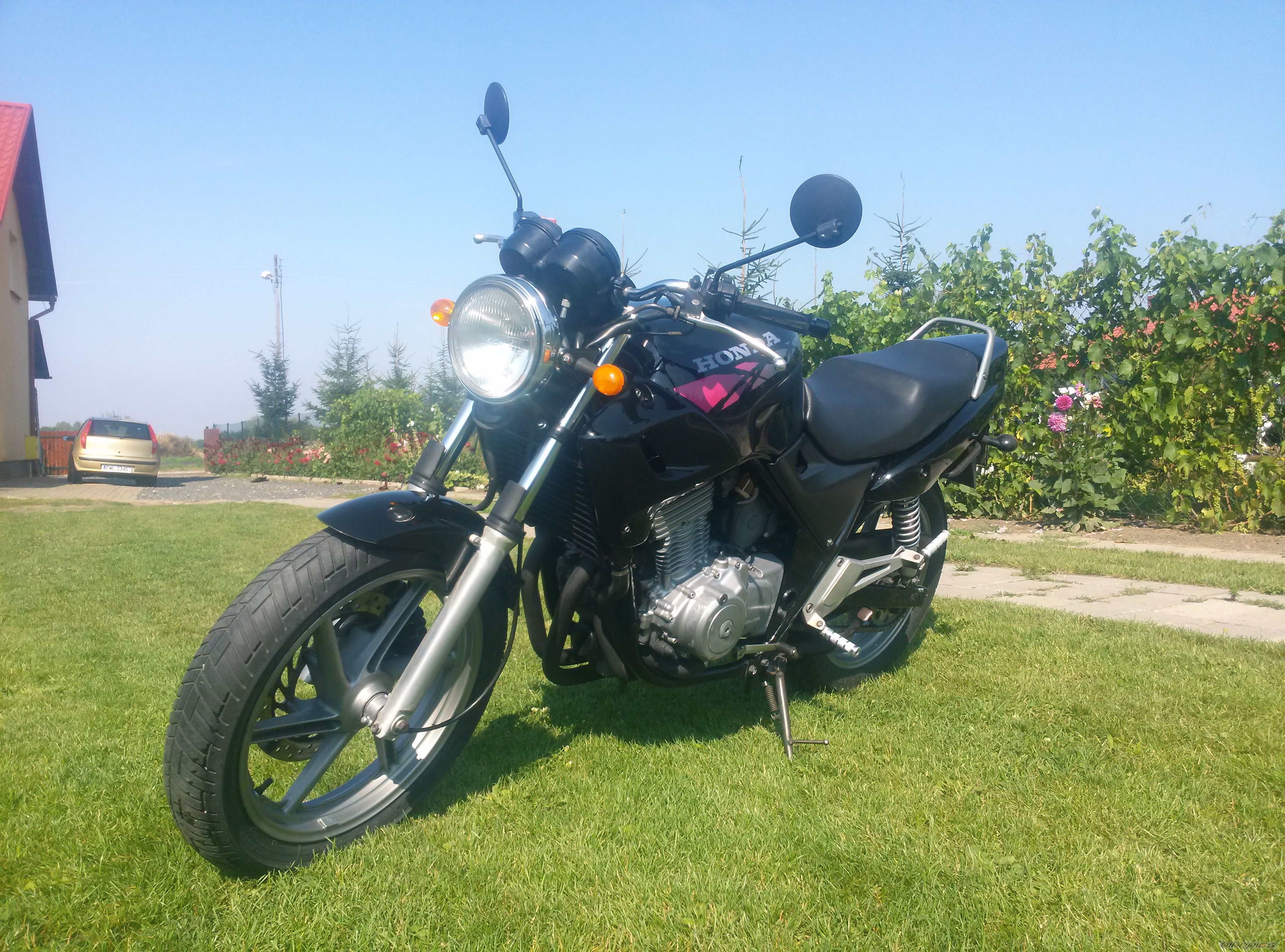 Photo 2712575