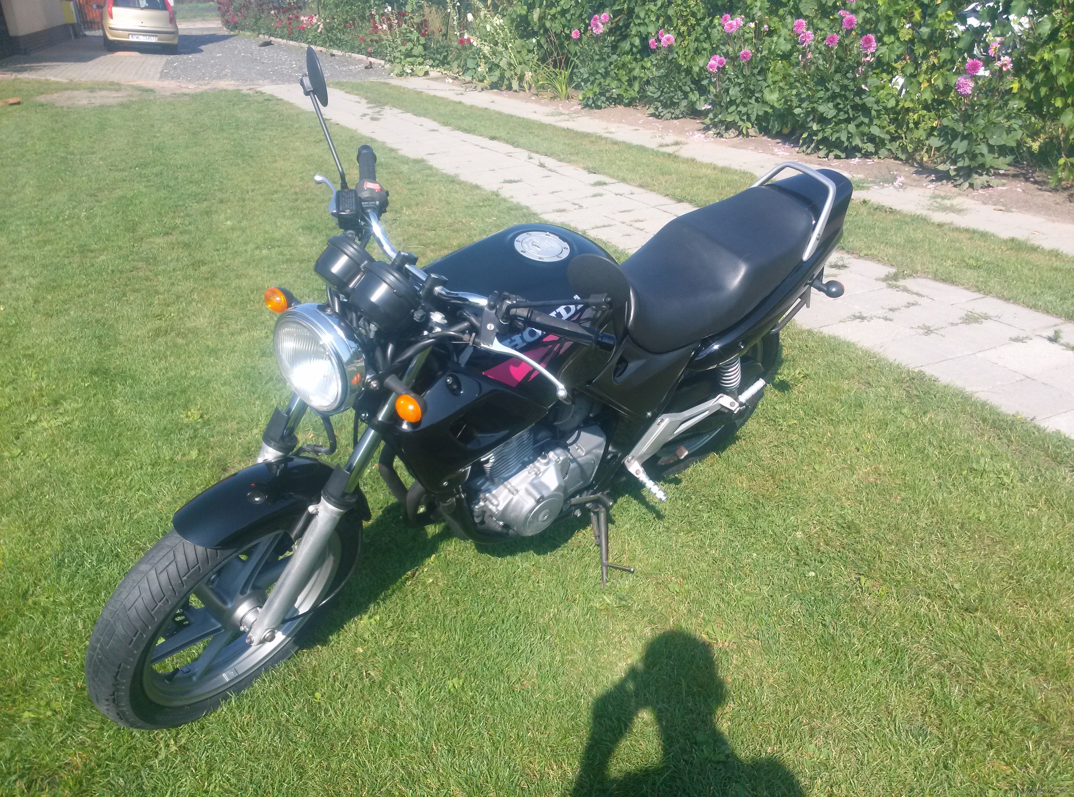 Photo 2712576
