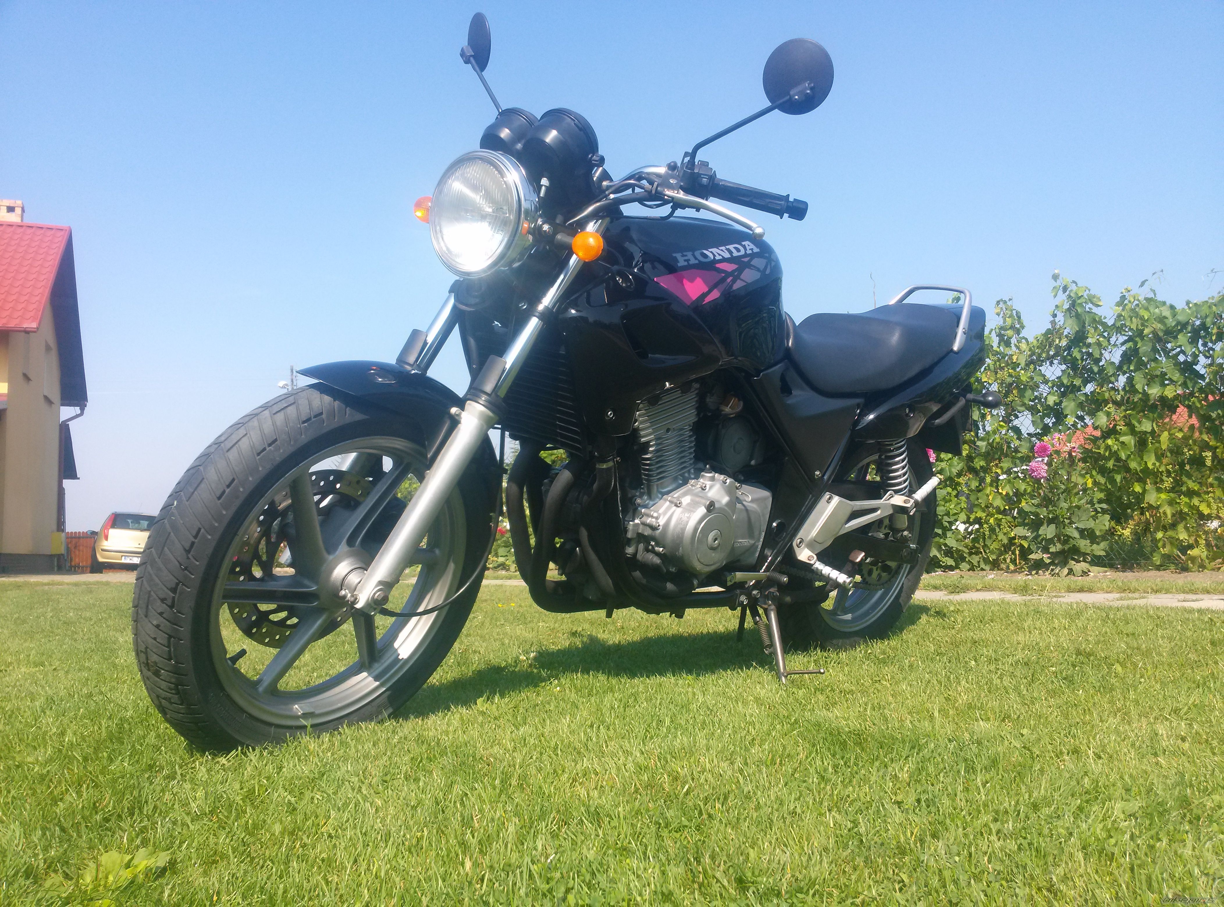 Photo 2712585