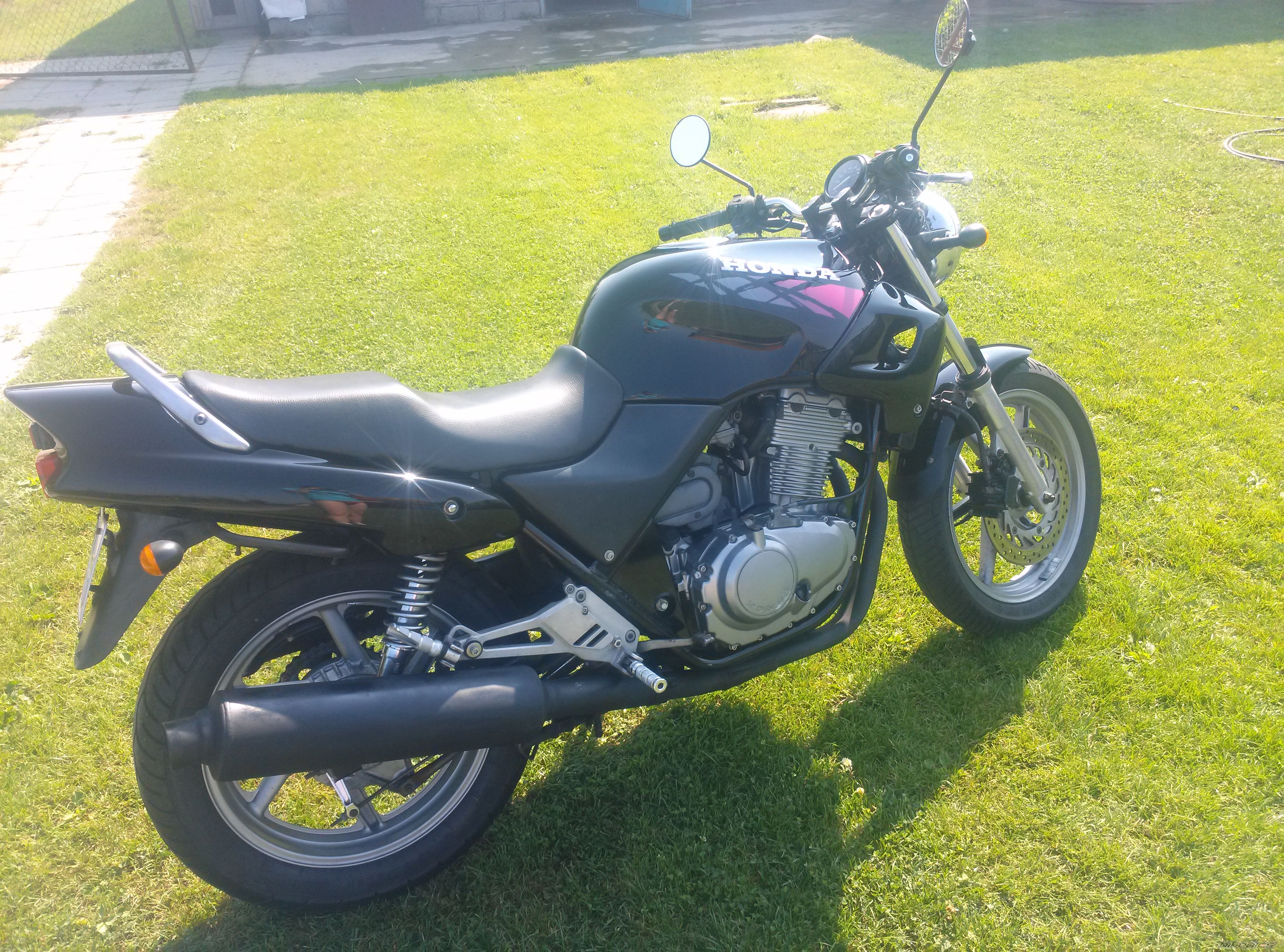 Photo 2712588