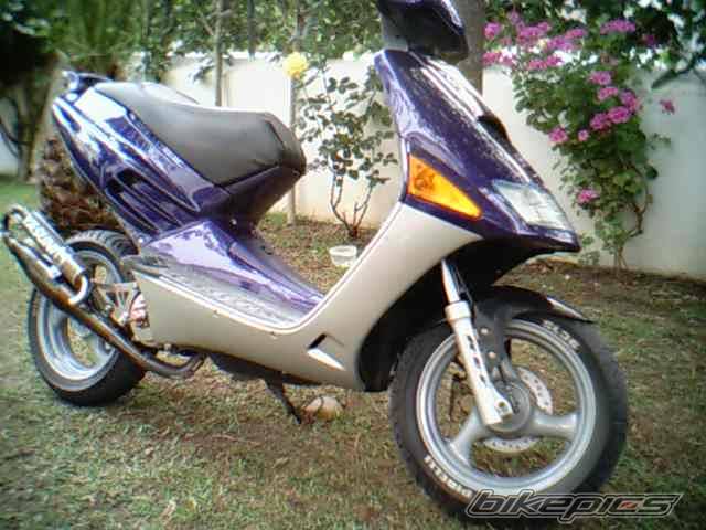 Photo 271279