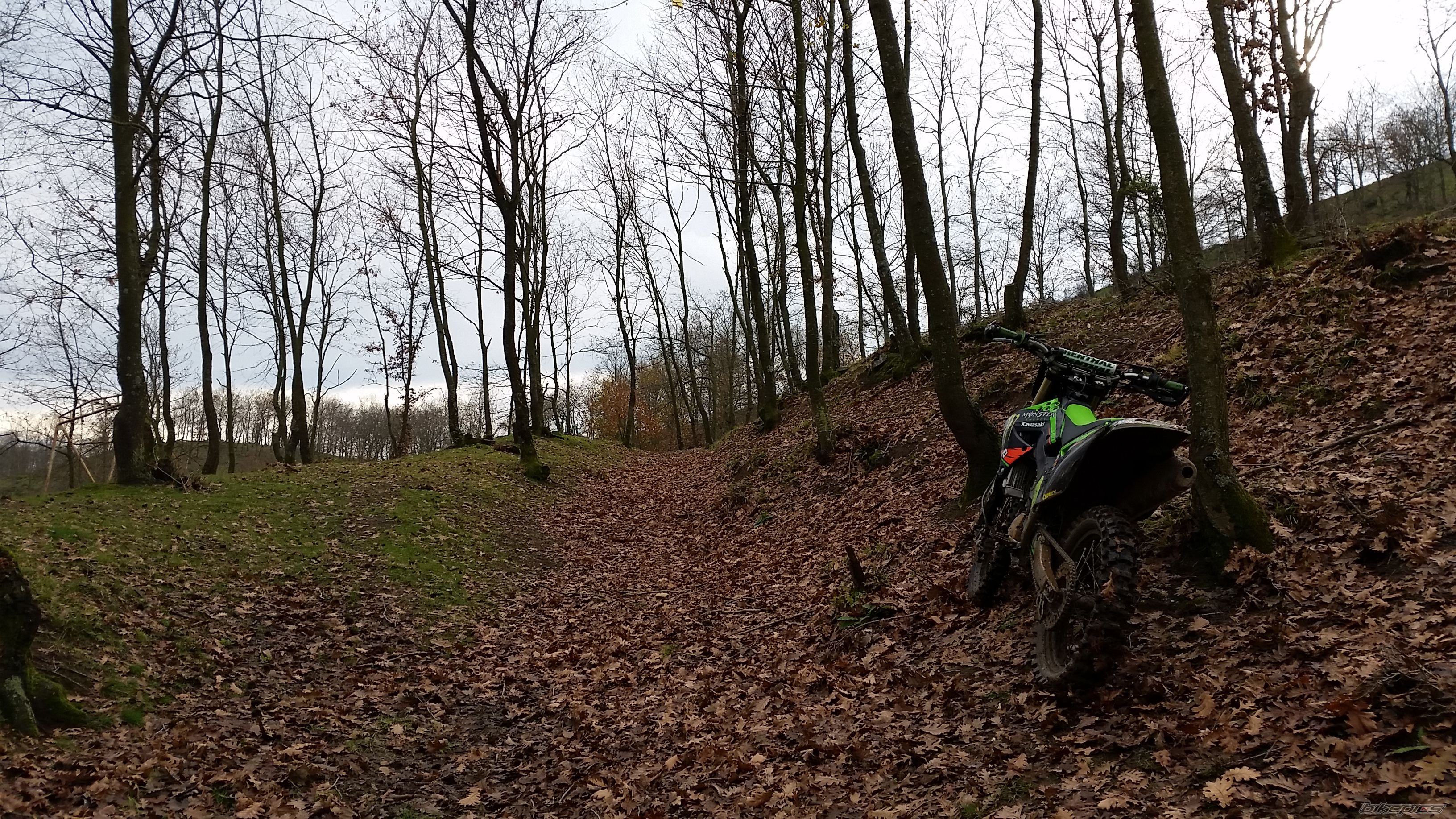 Photo 2712840