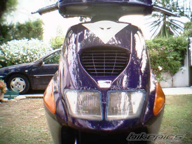 Photo 271285