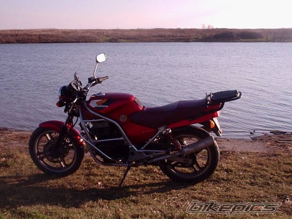 Photo 271291
