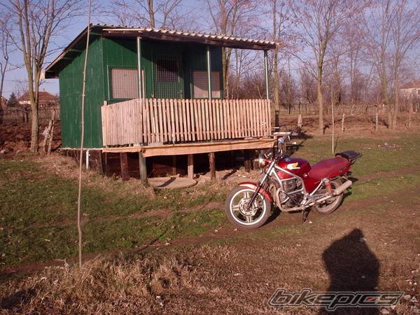 Bike Photo 271296