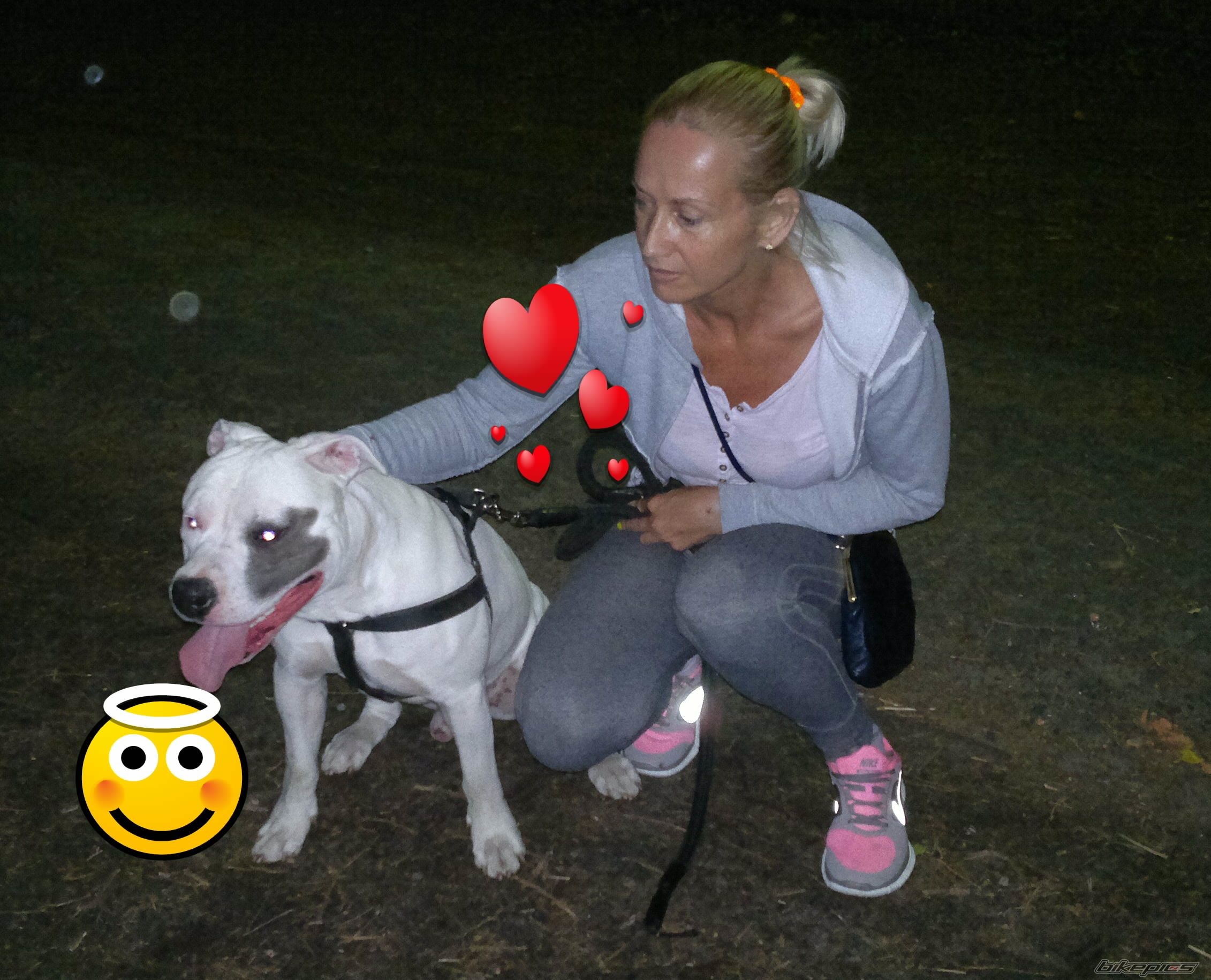 Photo 2713061