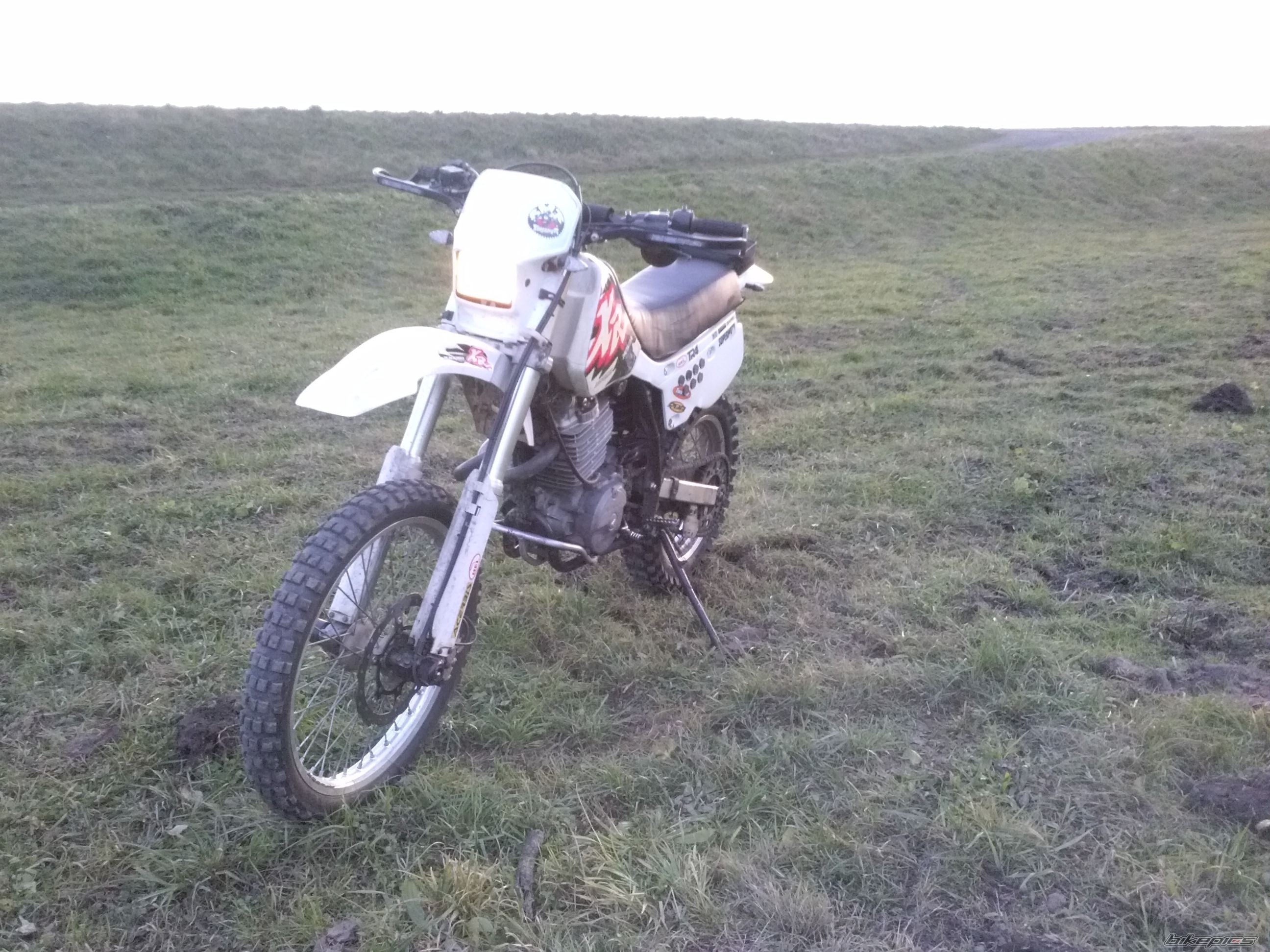 Photo 2713086