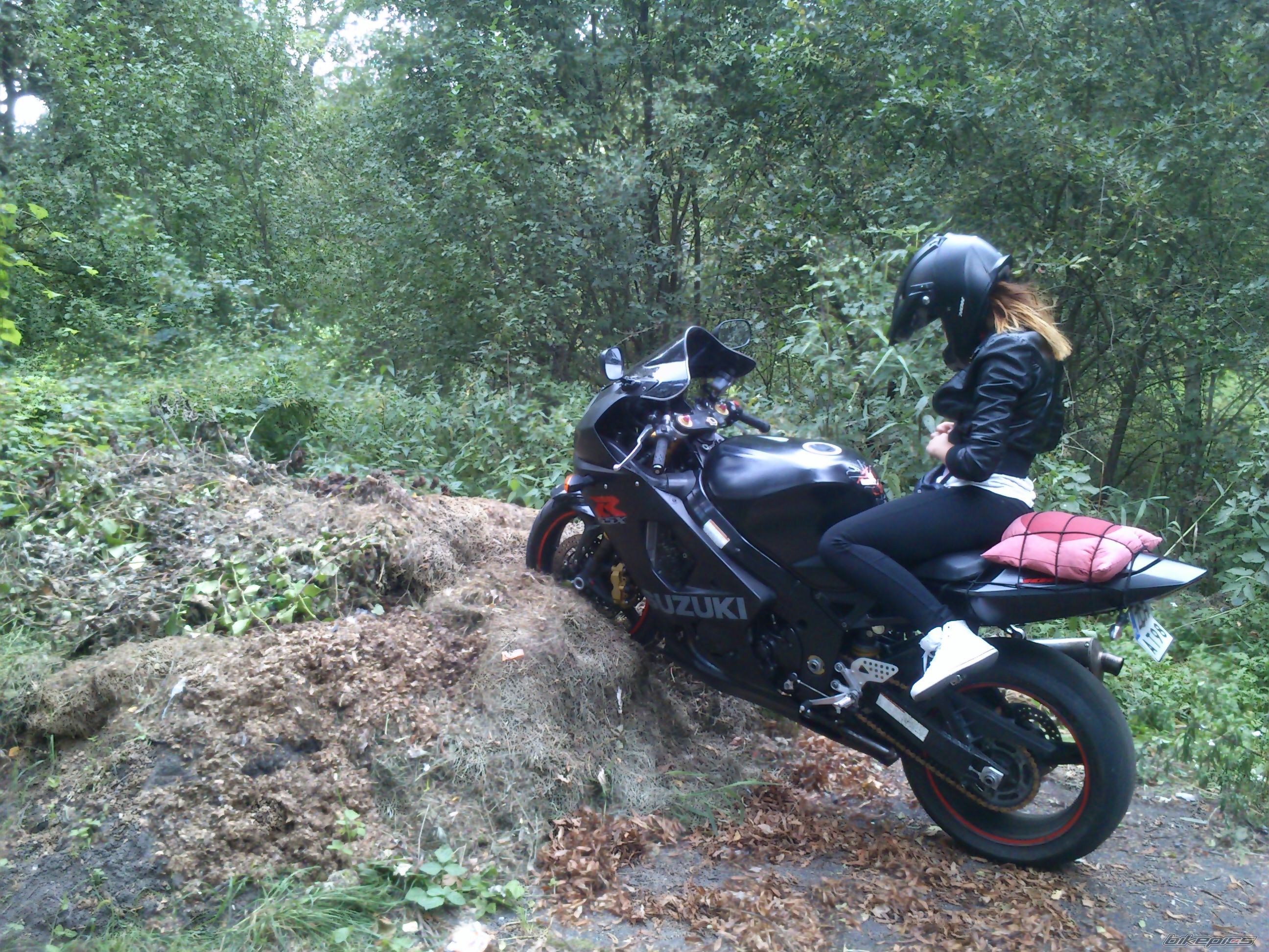 Photo 2713484