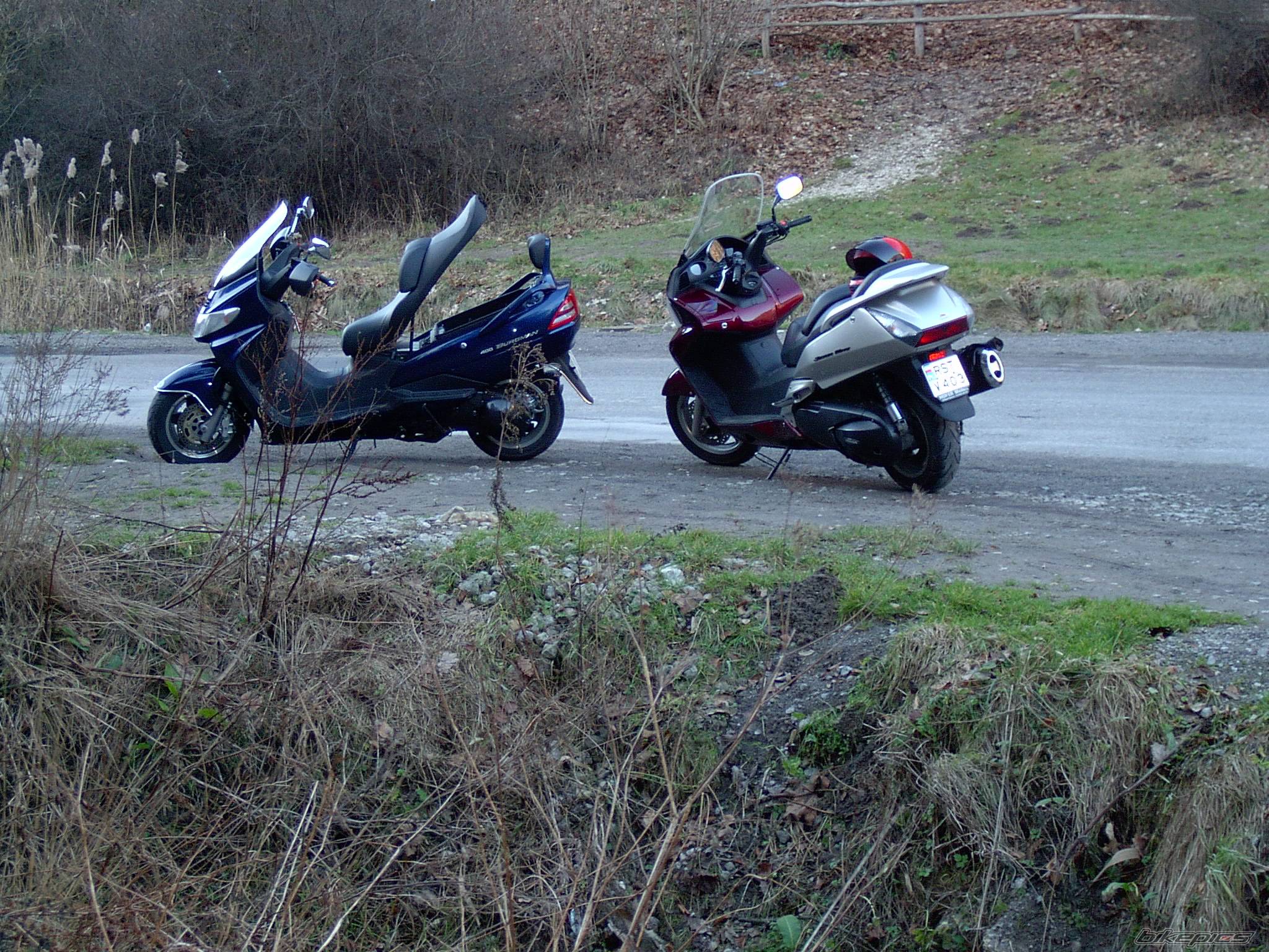 Photo 271372