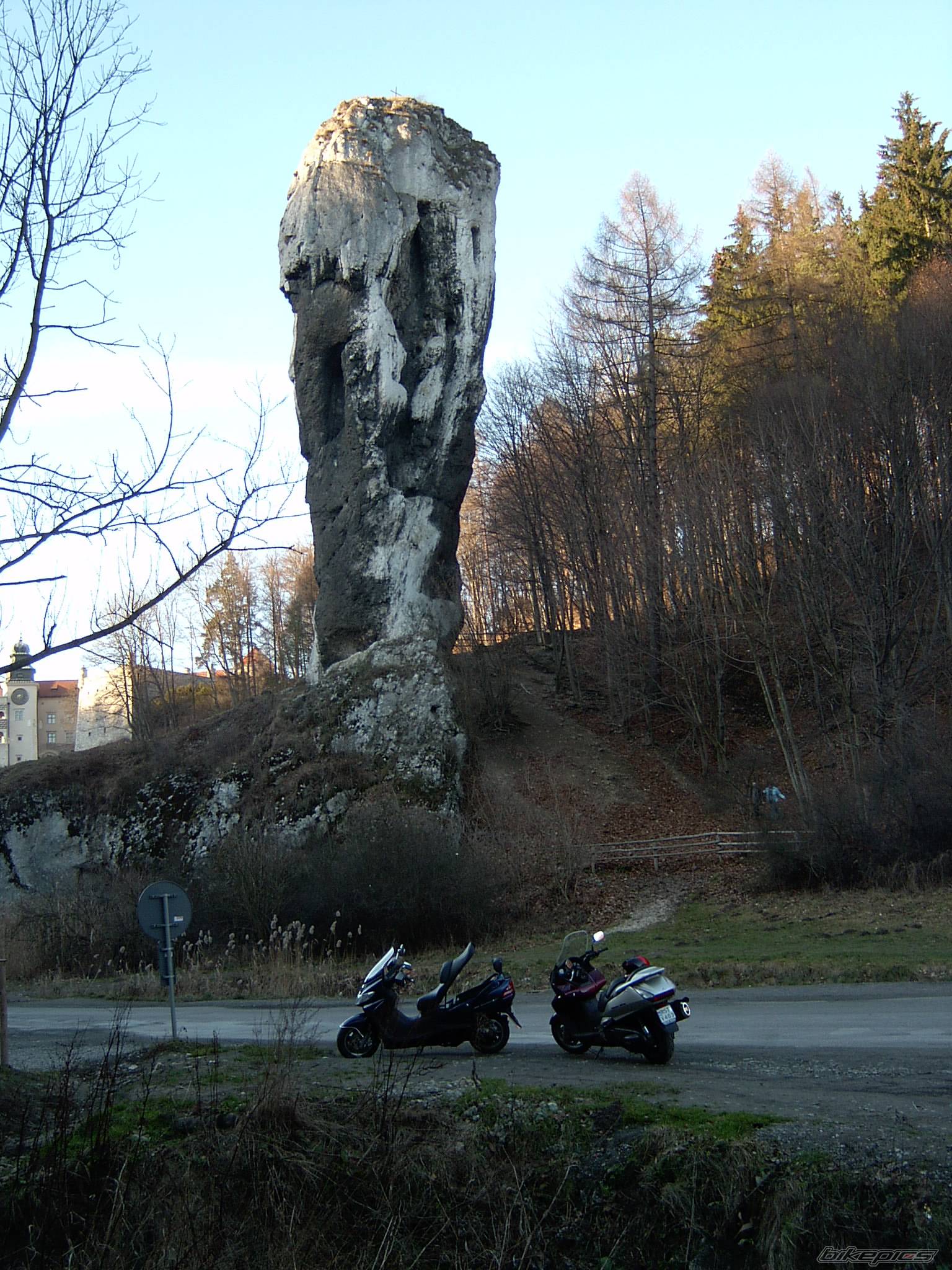 Photo 271373