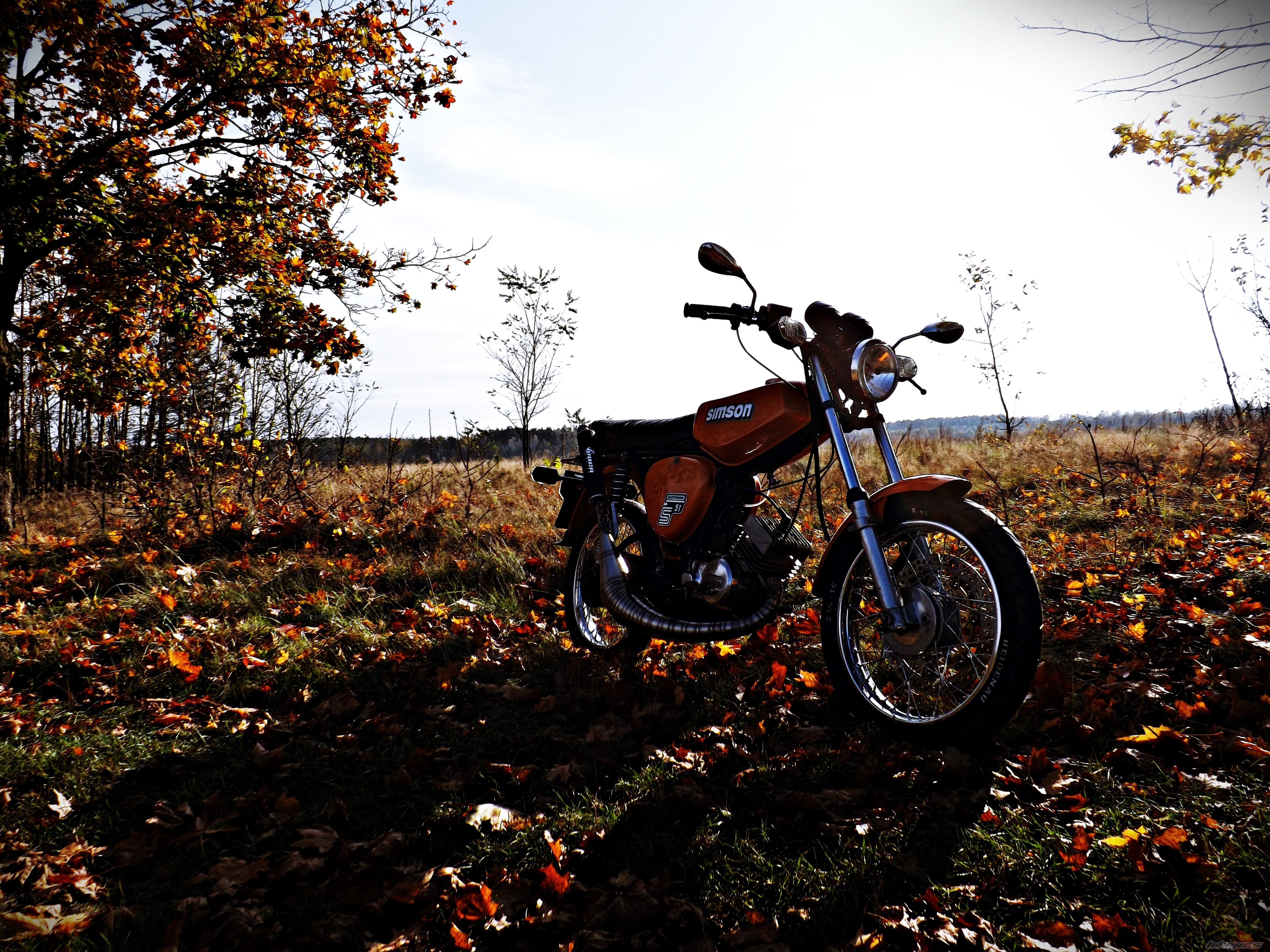 Photo 2713963